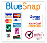 BlueSnap Logo