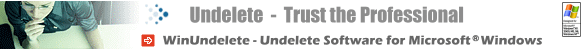 Windows Undelete Logo